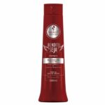 Shampoo Bendito Seja 300ml