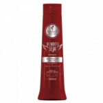 Shampoo Soyez Béni 300ml
