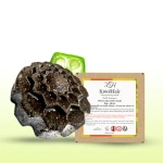 Kreol'hair Shampooing solide